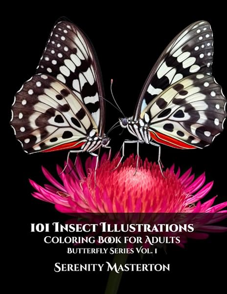 Butterflies coloring book cover